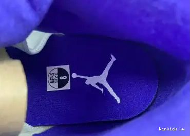 Retro Jordan Dark 5 Concord 0505